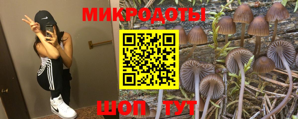 Псилоцибиновые грибы Cubensis  Вход с VPN  Моздок 