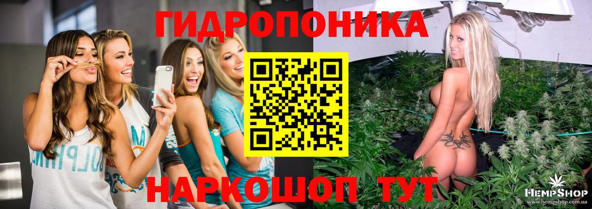 Бошки Шишки AK-47 Моздок